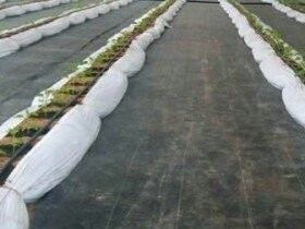 Υφάσματα από γεωτεξτύλιο PET για αποχέτευση και κατακράτηση νερού