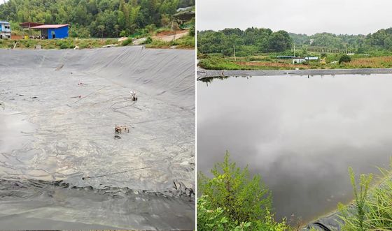 Γεωμεμβράνη HDPE υψηλής απόδοσης, λεία, με επιμήκυνση θραύσης 700%, εξαιρετική χημική αντοχή και προσαρμόσιμο πλάτος για υδατοκαλλιέργειες