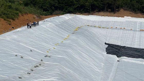 Βέλτιστη αποστράγγιση 3D σύνθετο αποστράγγιση Διάμετρο δίχτυ 2m-6m Δυνατότητα τέντωσης ≥16kN/m για τη διαχείριση υδάτων επιφάνειας και υποεπιφάνειας