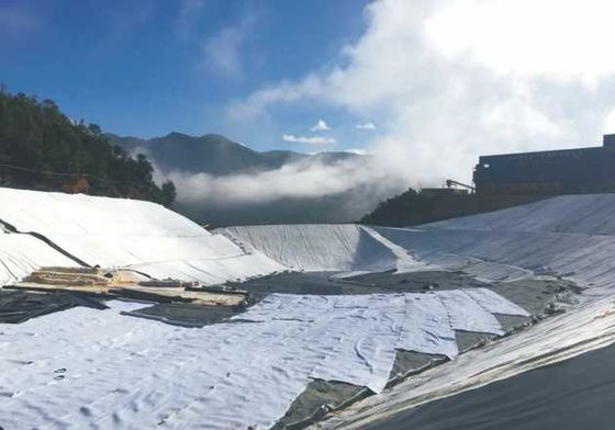 Φιλικό προς το περιβάλλον μη τοξικό ανθεκτικό γεωσυνθετικό αργιλοπλήρωμα για έργα διατήρησης υδάτων και τοπίου